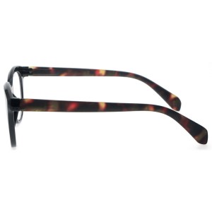 Reading Glasses
