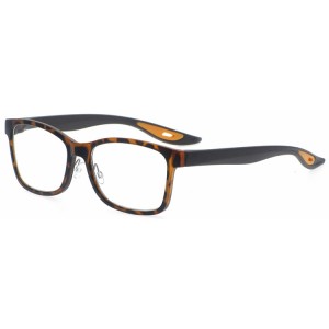 Reading Glasses