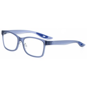 Reading Glasses