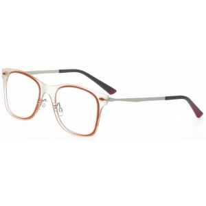 Reading Glasses