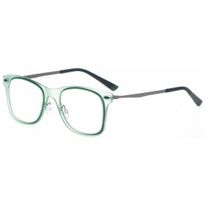 Reading Glasses