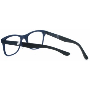 Reading Glasses