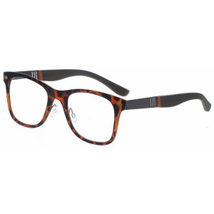 Reading Glasses