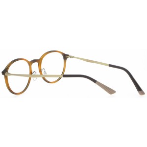 Reading Glasses