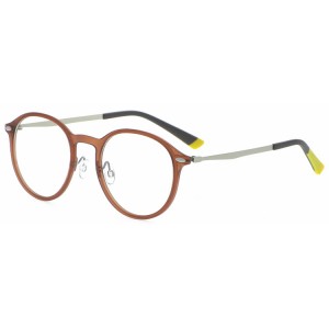 Reading Glasses