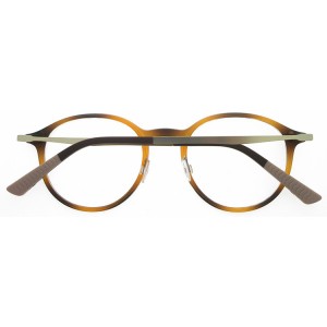 Reading Glasses