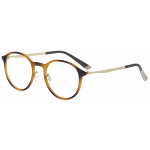 Reading Glasses