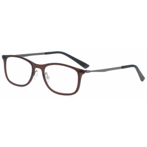 Reading Glasses