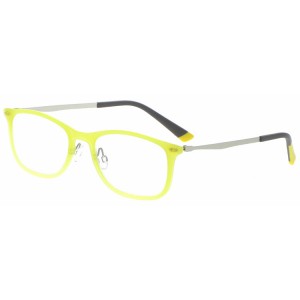 Reading Glasses