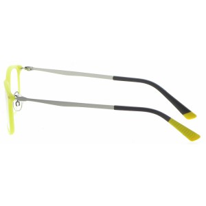 Reading Glasses
