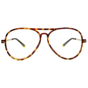 Reading Glasses