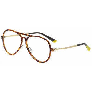 Reading Glasses