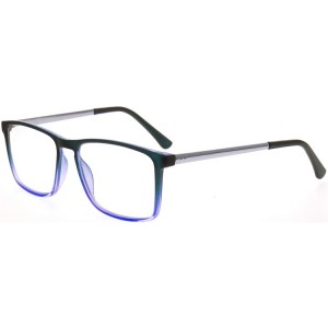 Reading Glasses