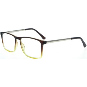 Reading Glasses