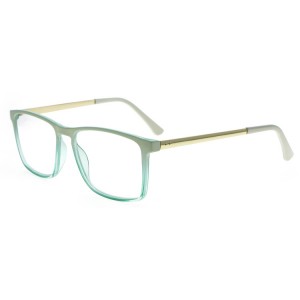 Reading Glasses