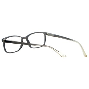 Reading Glasses