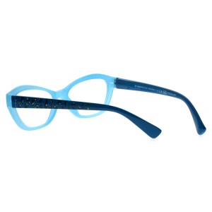 Reading Glasses