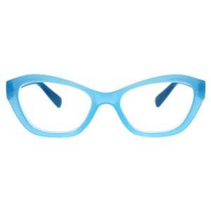 Reading Glasses