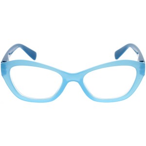 Reading Glasses