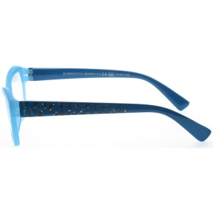 Reading Glasses