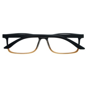 Reading Glasses