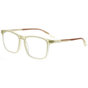 Reading Glasses