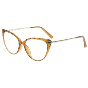 Reading Glasses