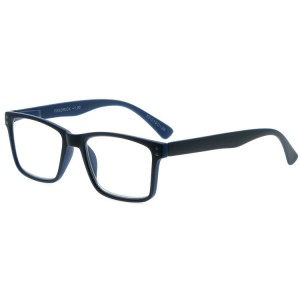 Reading Glasses
