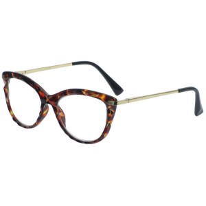 Reading Glasses