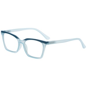 Reading Glasses