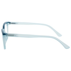 Reading Glasses
