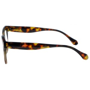 Reading Glasses