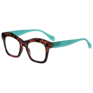 Reading Glasses