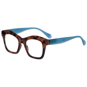 Reading Glasses