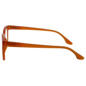 Reading Glasses