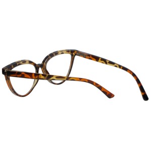 Reading Glasses