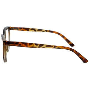 Reading Glasses