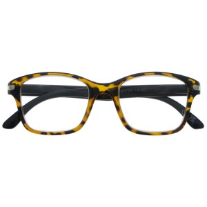 Reading Glasses