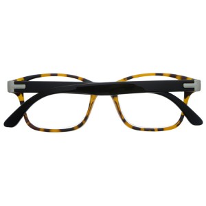 Reading Glasses