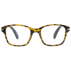 Reading Glasses