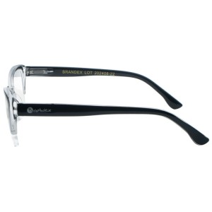 Reading Glasses
