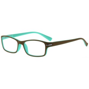 Reading Glasses