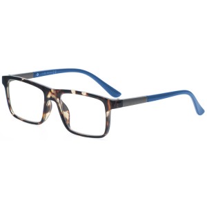 Reading Glasses