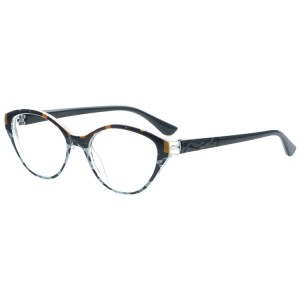 Reading Glasses