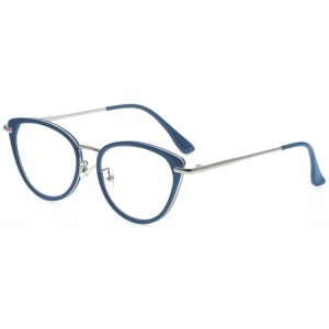 Reading Glasses