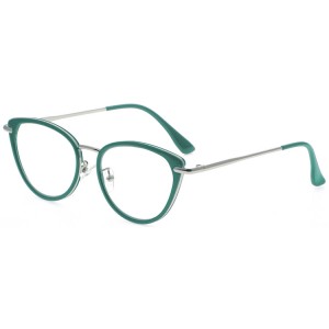 Reading Glasses