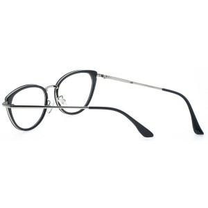 Reading Glasses