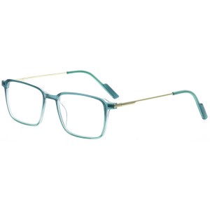 Reading Glasses
