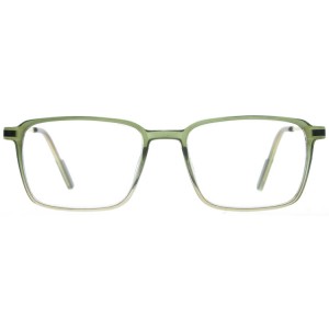 Reading Glasses