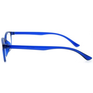 Reading Glasses